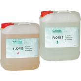 Canna Flores A&B 5 liter